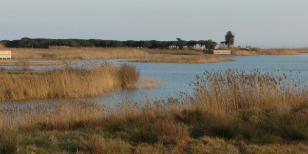 Sant Boi reclama al Gobierno de la Generalitat medidas para compatibilizar la preservación de los espacios naturales con la actividad agraria en el Delta del Llobregat